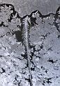 2010-01-08, Eisblumen (2)